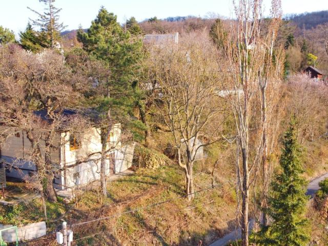 Grundstück kaufen in Klosterneuburg, Niederösterreich