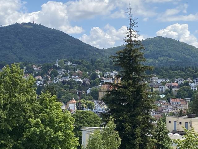 Wohnung kaufen in Baden-Baden