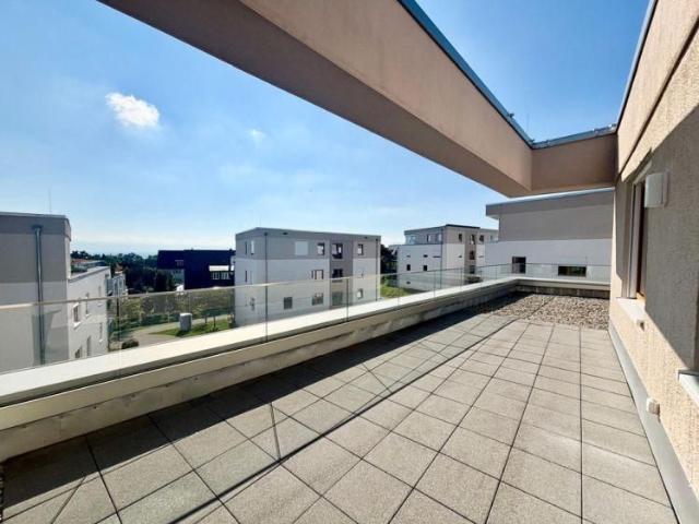 Apartment mieten in Niederholz, Friedrichshafen
