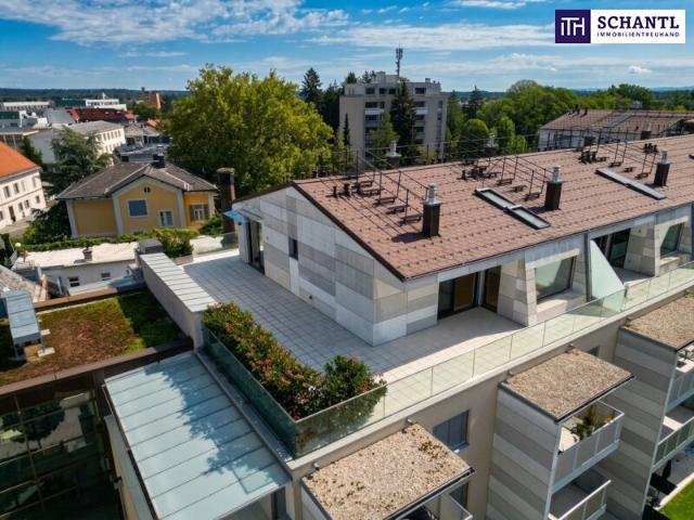 Penthouse kaufen in Kaindorf an der Sulm, Steiermark