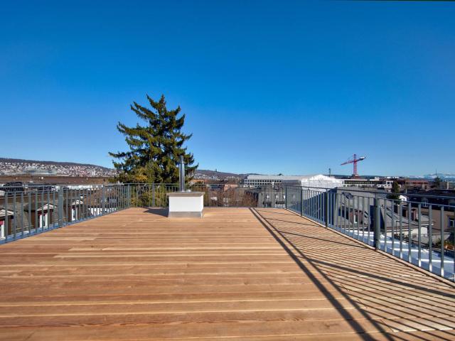 Apartment mieten in Einigen, Zürich