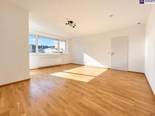 Wohnung kaufen in Seestadt, Wien