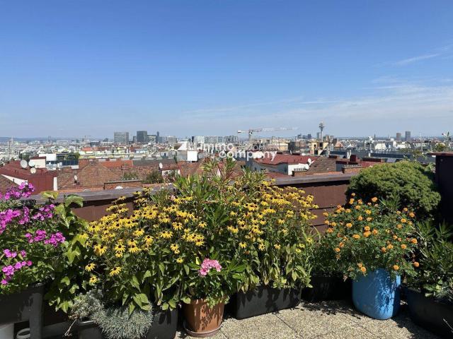 Apartment kaufen in KG Inzersdorf Stadt, Wien