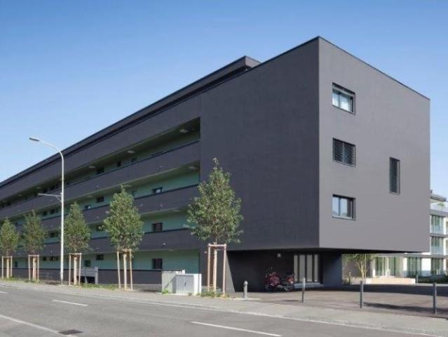 Apartment mieten in Reinach (AG), Aargau