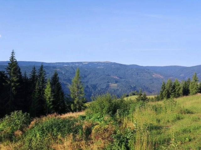 Immobilie kaufen in Obdach, Steiermark