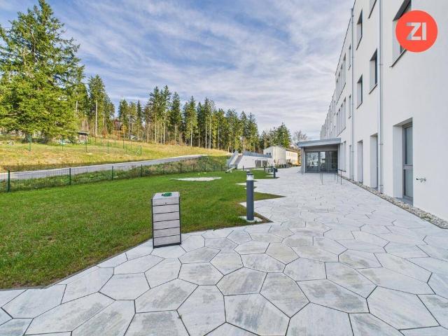 Büro kaufen in Rohrach, Kirchschlag