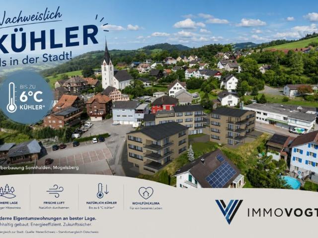 Wohnung kaufen in Nassen, St. Gallen