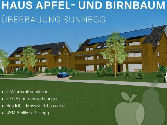 Wohnung kaufen in Amlikon-Bissegg, Thurgau