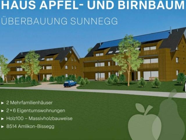 Wohnung kaufen in Amlikon-Bissegg, Thurgau