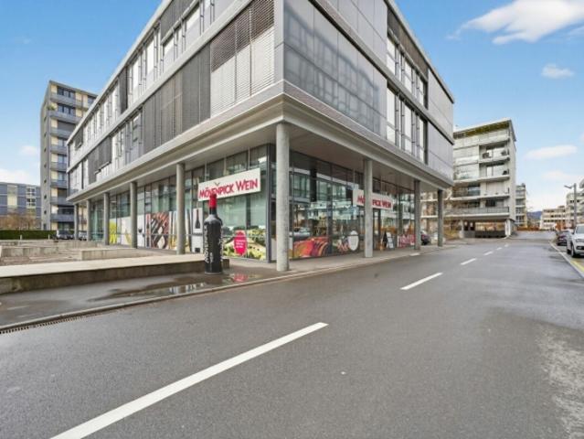Wohnung mieten in Oberwil bei Zug, Zug
