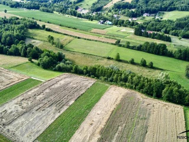 Grunt na sprzedaż w Dynów, Podkarpackie
