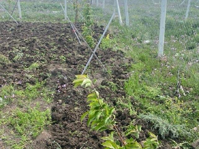Yukarı Çavundur Mahallesi, Çubuk içerisinde satılık mülk