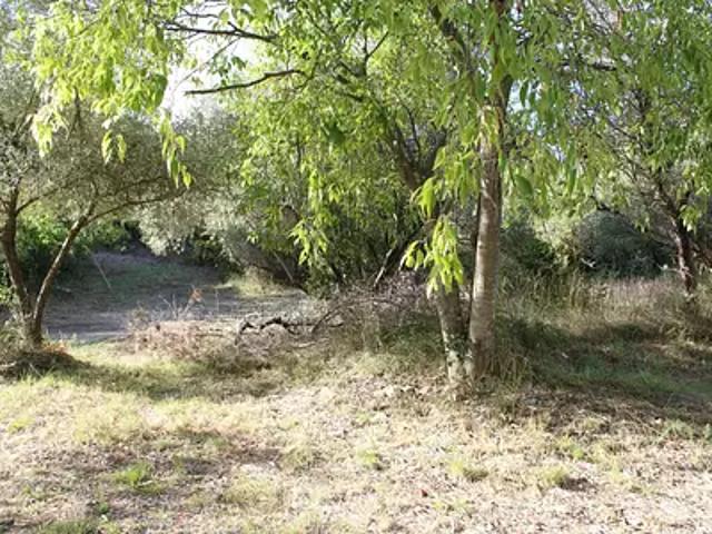 Terrain vente à Nîmes, Uchaud