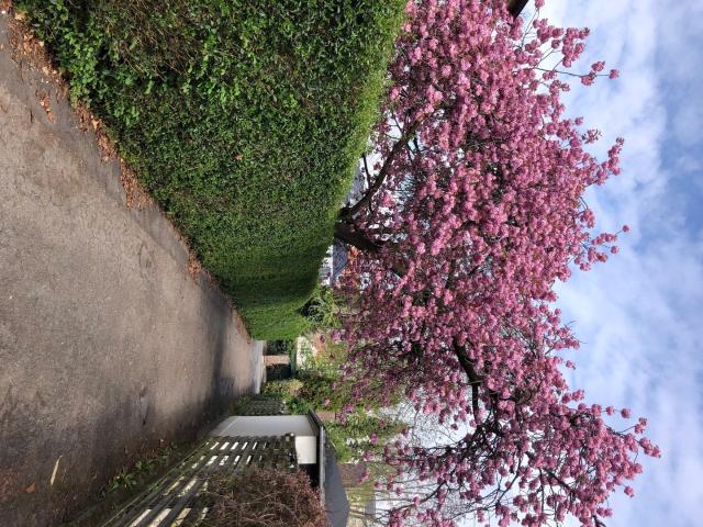 Erhvervsejendom til leje i Frederiksberg C, Frederiksberg