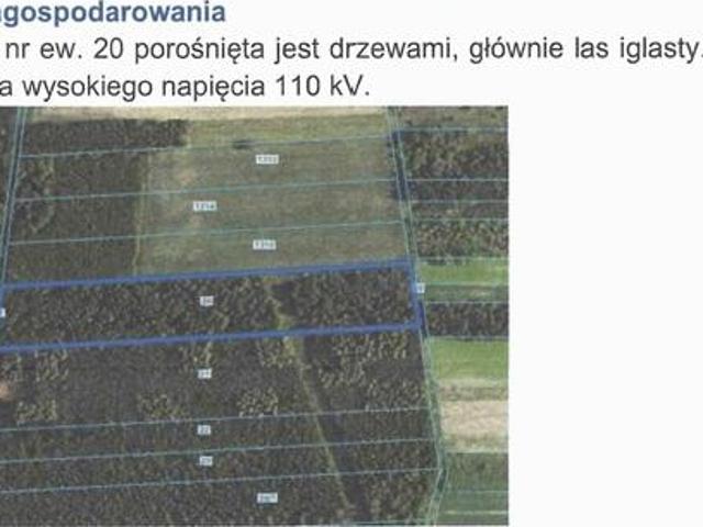 Grunt na sprzedaż w Białaczów, Łódzkie