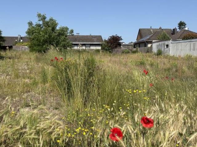 Erdgeschosswohnung kaufen in Uetze, Niedersachsen