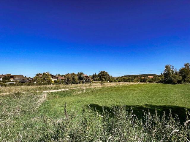 Haus kaufen in Utzenaich, Oberösterreich