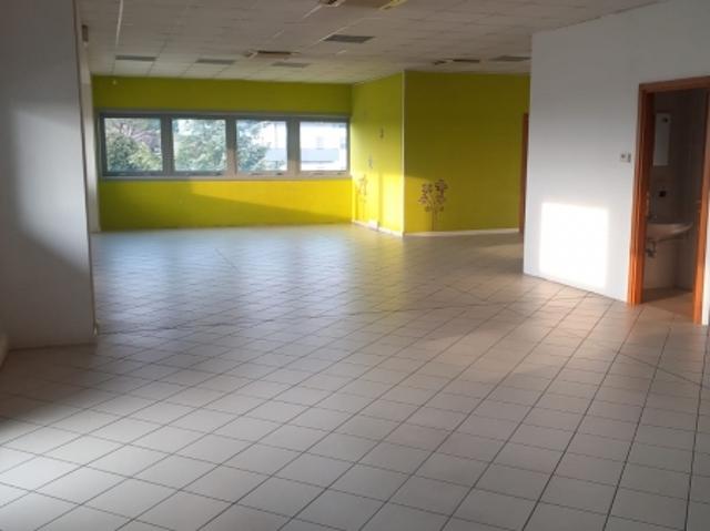 Ufficio in affitto a Pavia Di Udine, Friuli-Venezia Giulia