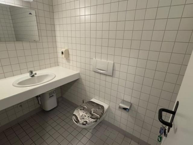 Apartment mieten in Salorino, Mendrisio