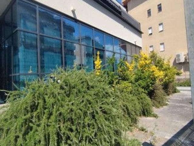 Ufficio in affitto a San Silvestro, Cassino