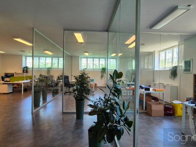 Ufficio in affitto a Quartiere 2, Firenze
