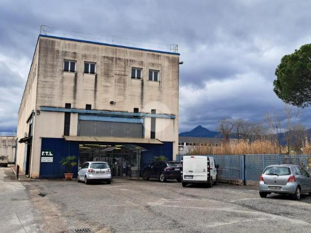 Ufficio in affitto a Frosinone, Lazio