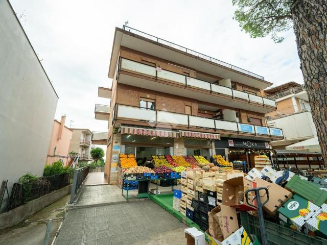 Ufficio in affitto a Latina, Lazio