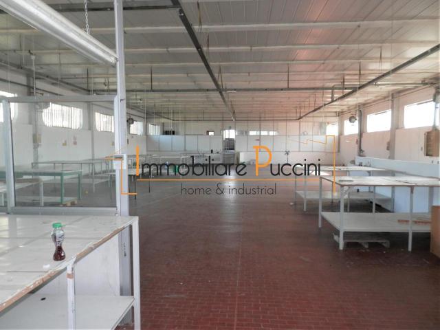 Ufficio in affitto a Padule, Sesto Fiorentino
