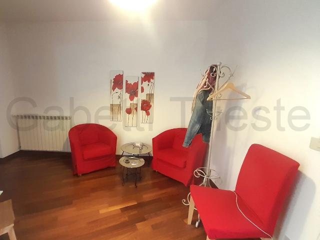 Ufficio in affitto a Città Nuova-Barriera Nuova-San Vito-Città Vecchia, Villa Opicina