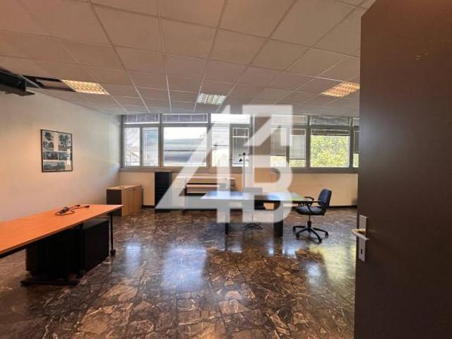 Ufficio in affitto a Città Nuova-Barriera Nuova-San Vito-Città Vecchia, Villa Opicina