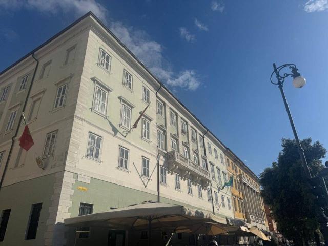 Ufficio in affitto a Città Nuova-Barriera Nuova-San Vito-Città Vecchia, Villa Opicina