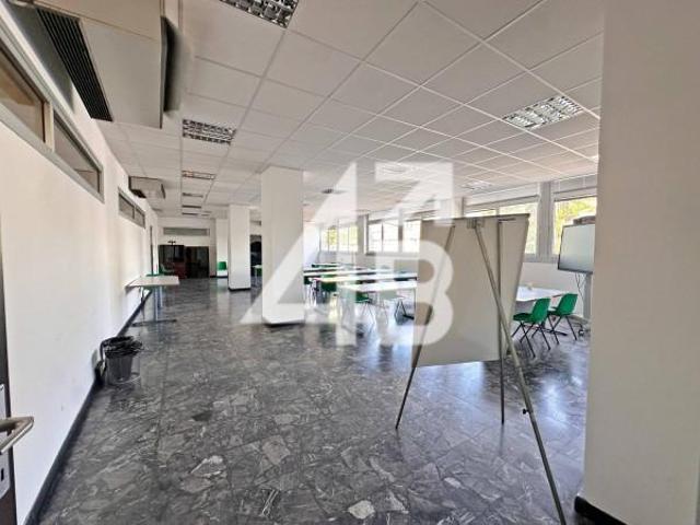 Ufficio in affitto a Città Nuova-Barriera Nuova-San Vito-Città Vecchia, Villa Opicina