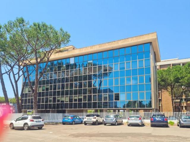 Ufficio in affitto a Mostacciano, Roma Capitale