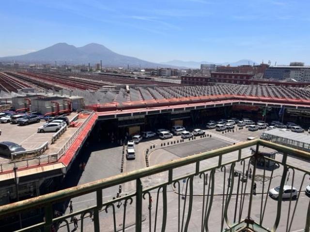 Ufficio in affitto a Napola, Campania