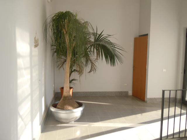 Ufficio in affitto a Santa Maria, Catanzaro