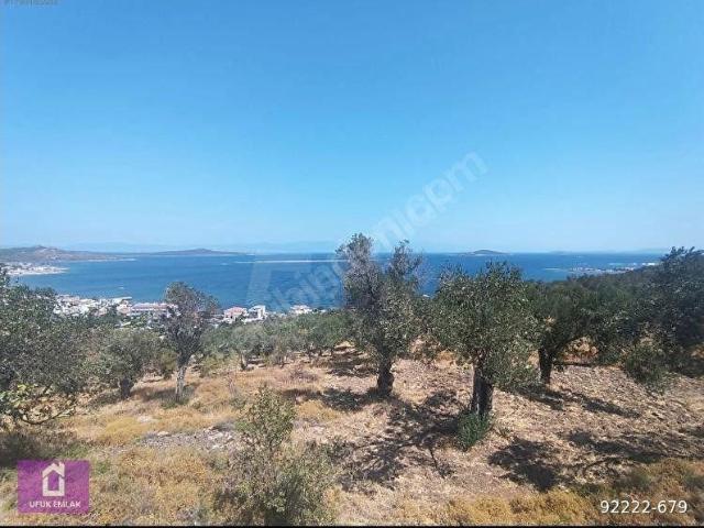 Ayvalik, Balikesir içerisinde satılık mülk