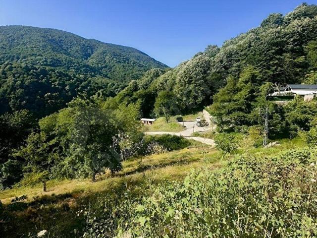 Sapanca, Sakarya içerisinde satılık mülk