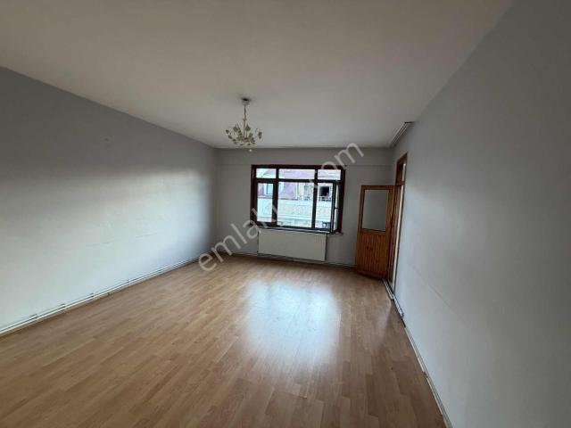 Avcilar, İstanbul içerisinde kiralık mülk