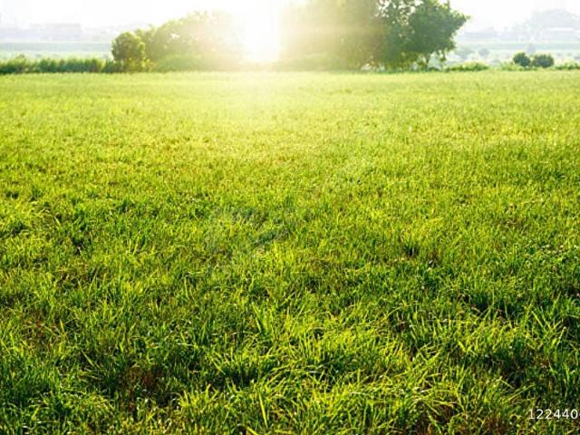 Çankaya, Ankara içerisinde satılık Bina