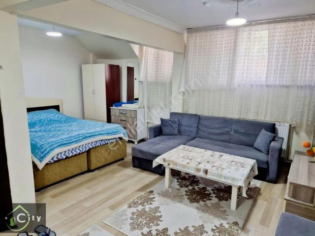İstanbul Merkez, İstanbul içerisinde kiralık mülk