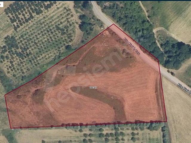 Çiftlikköy, Yalova içerisinde satılık Arsa