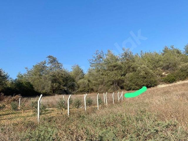 Tapantepe, Çukurova içerisinde satılık Arsa