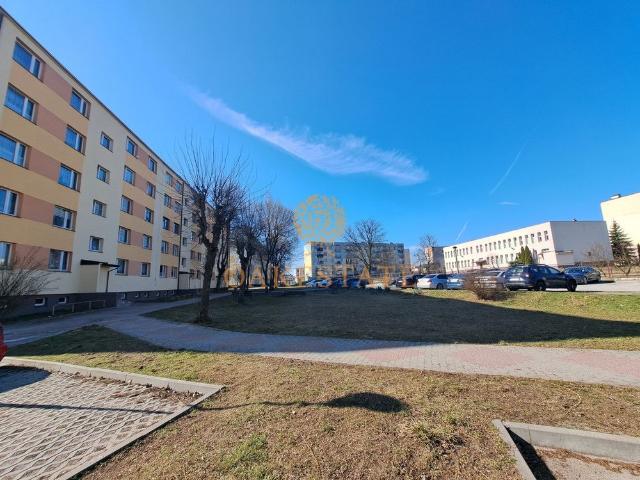 Mieszkanie do wynajęcia w Jędrzejów