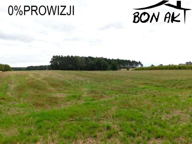 Grunt na sprzedaż w Radzyny, powiat szamotulski