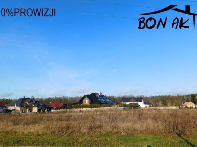 Grunt na sprzedaż w Pniewy, Wielkopolskie