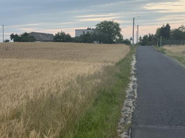 Grunt na sprzedaż w Brzeźno, Wielkopolskie