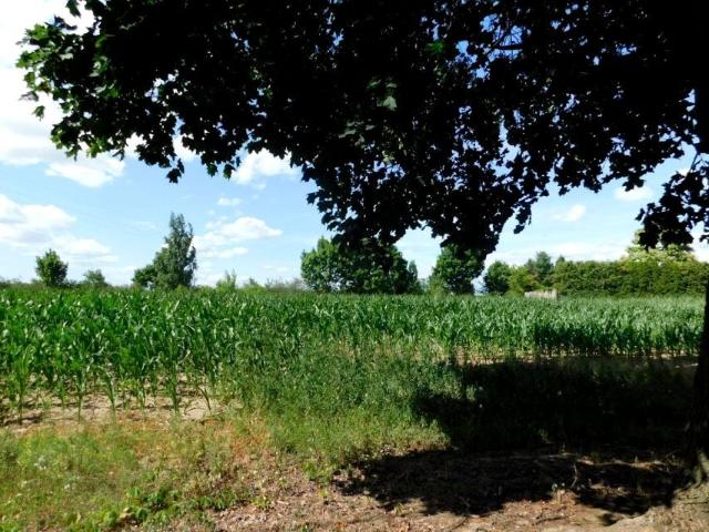 Grunt na sprzedaż w Kaźmierz, Wielkopolskie