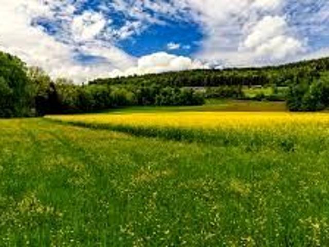 Grunt na sprzedaż w Mysłowice, Śląskie