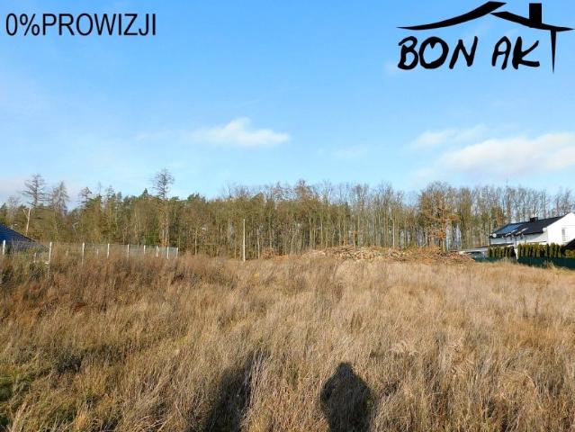 Grunt na sprzedaż w Pniewy, Wielkopolskie