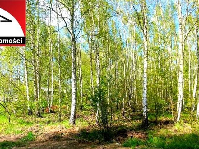 Grunt na sprzedaż w Gruszczyn, Wielkopolskie